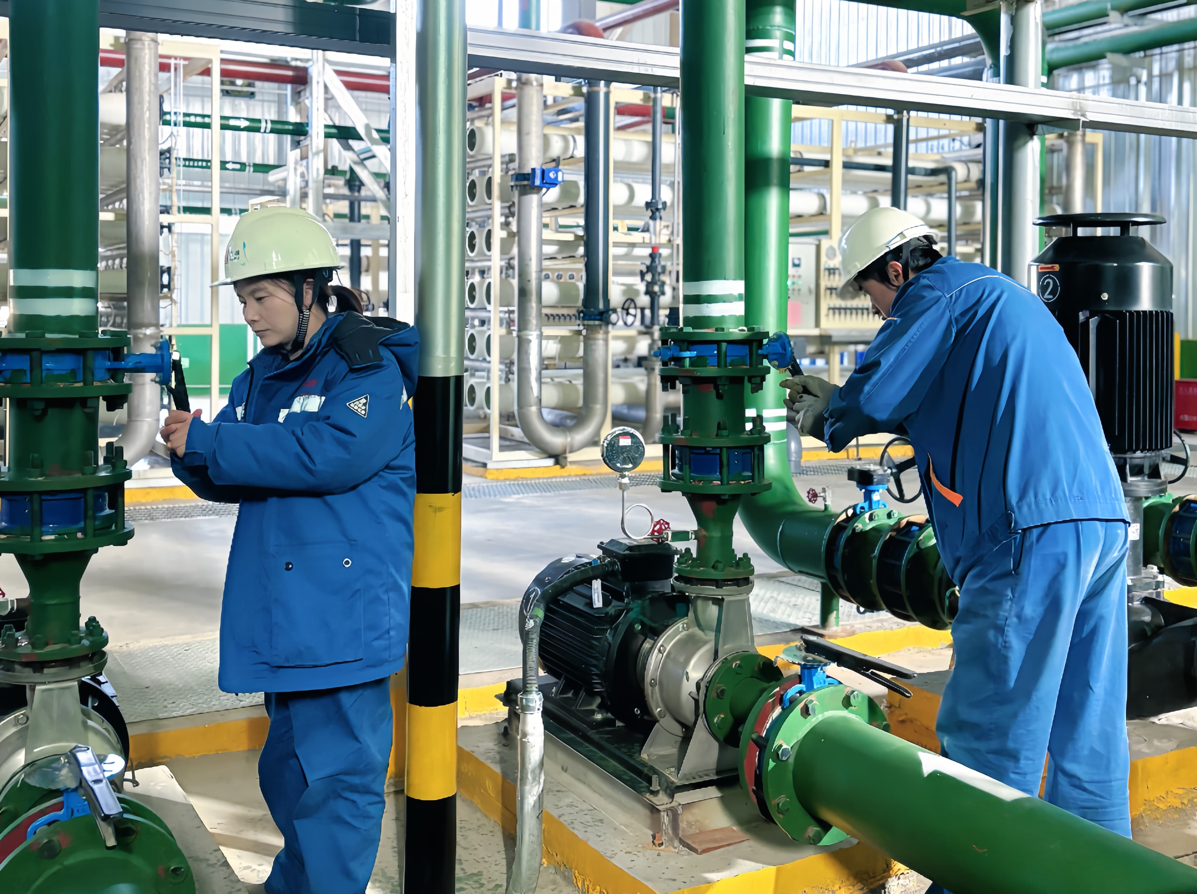 ����빥��  ͬ�ı����� ������������